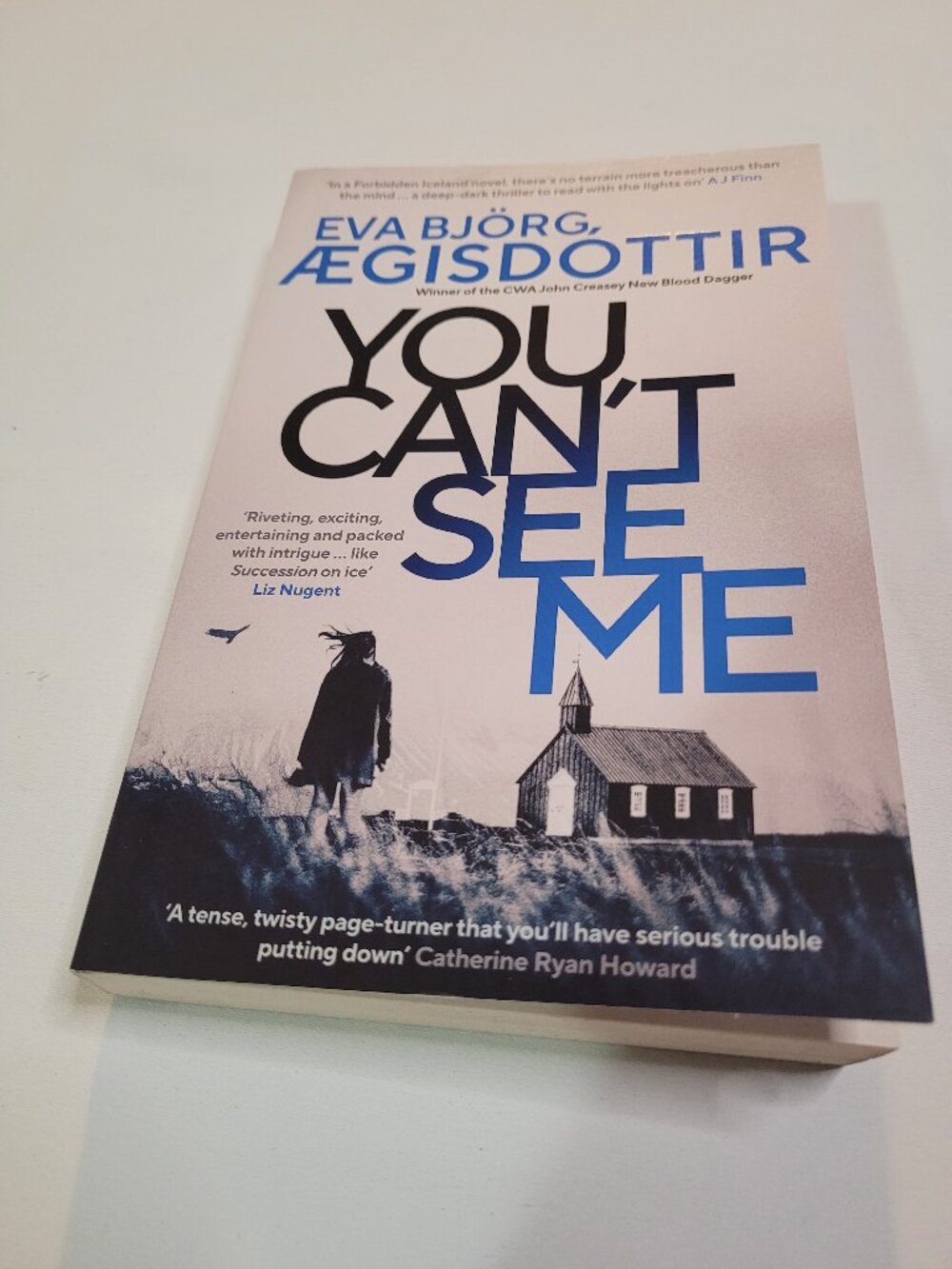 You Can’t See Me by Eva Björg Ægisdóttir Paperback Crime Thriller Mystery Novel